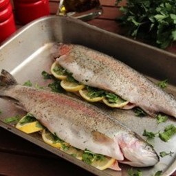 baked-fresh-rainbow-trout-e217c8.jpg