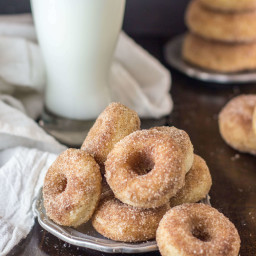 Baked Snickerdoodle Donuts