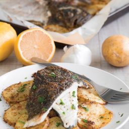 BAKED TURBOT with lemon mustard sauce and potatoes