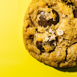 Basic, Great Chocolate Chip Cookies