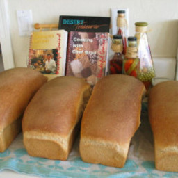 Basic Whole Wheat Bread