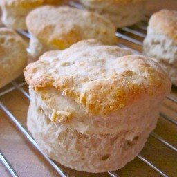 basic biscuits