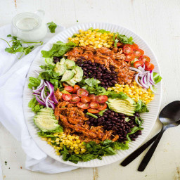 bbq-chicken-salad-with-cilantro-lime-ranch-dressing-27e053108e7b438ef05f90bf.jpg