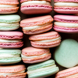 Beginner's Guide to French Macarons