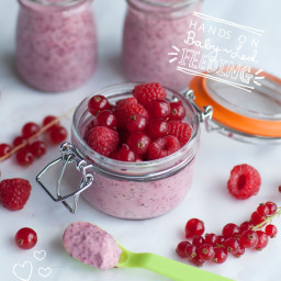 Berry and Coconut Chia Seed Baby Pudding