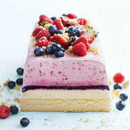 Berry Ice Cream Slice