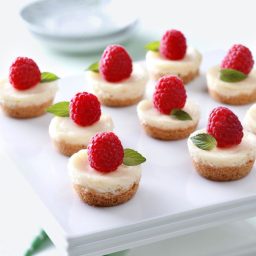 berry-mini-cheesecakes-fb812c.jpg