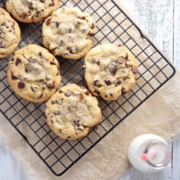 Best Big, Fat Chewy Chocolate Chip Cookie