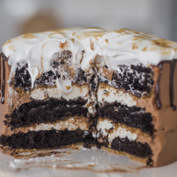 Best Crowd Pleasing Ultimate S'mores Cake