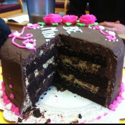 best-ever-chocolate-cake-seriously-4.jpg