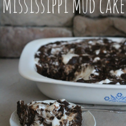Best Ever Mississippi Mud Cake Recipe