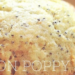 Best Muffin Recipes: Lemon Poppy Seed Muffins