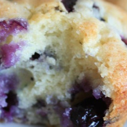 Best of the Best Blueberry Muffins