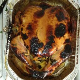Best Turkey In The World Garaunteed!