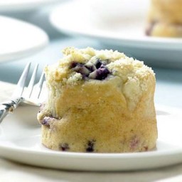 Big Blueberry Muffins