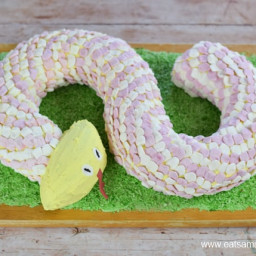 Birthday Snake Cake