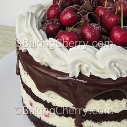 Black Forest Cake with White Chocolate Mousse Filling