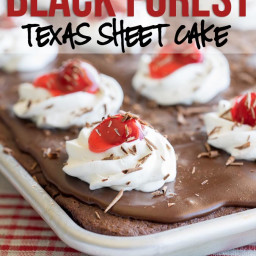 black-forest-texas-sheet-cake-recipe-1936565.jpg