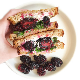 Blackberry Basil Grilled Cheese Sandwich