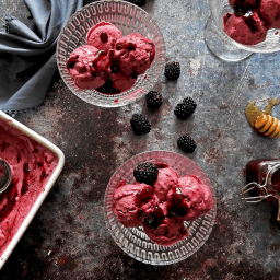 Blackberry Frozen Yogurt Recipe