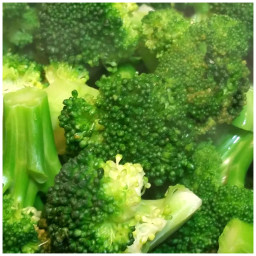 Blanch and Hold Broccoli