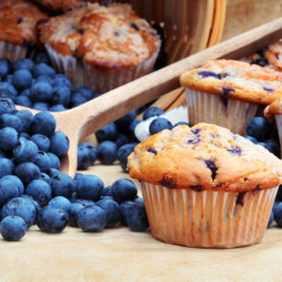 Blaubeer-Muffins