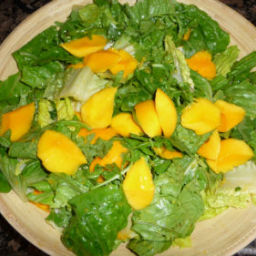 Blended Mango Salad - Dr. Fuhrman