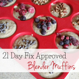 Blender Muffins