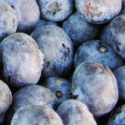 Blueberry Cardamom Syrup