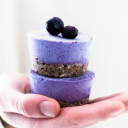 blueberry-cheesecake-bites-with-oatmeal-crust-2657952.jpg