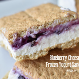 Blueberry Cheesecake Frozen Yogurt Sandwiches