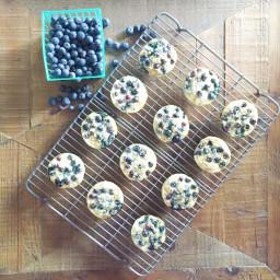 blueberry egg and oat muffins