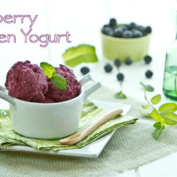 Blueberry Frozen Yogurt