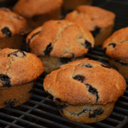 Blueberry Muffins (gluten free)