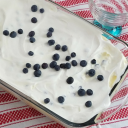 Blueberry No Bake Cheesecake Recipe