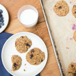 Blueberry Oatmeal Cookie Recipe