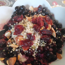 Blueberry Quinoa Breakfast Porridge (Low FODMAP, GF, Vegan)