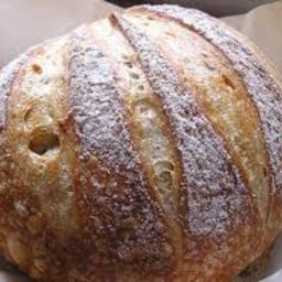 Boule - Five Minutes a Day for Fresh-Baked Bread