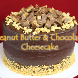 [b]Peanut Butter Cheesecake[/b]