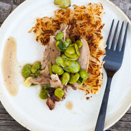 Braised Chicken with Fava Beans