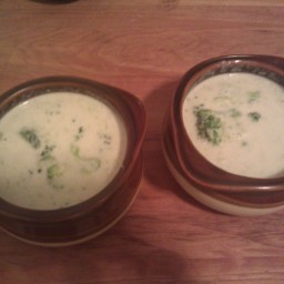 Broccoli and Swiss Cheese Soup