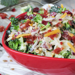 Broccoli Cranberry Pasta Salad