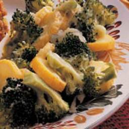 Broccoli Squash Bake Recipe