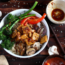Brown Rice Tofu Bowl + Roasted Vegetables and Soy, Ginger, Garlic Sauce