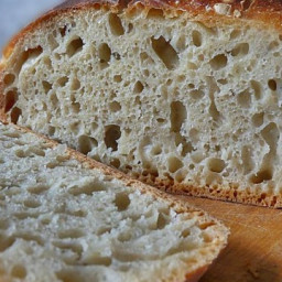 Brži kruh koji se ne mijesi (no knead bread)
