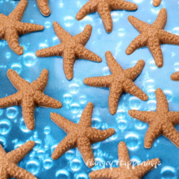 butterscotch-crunch-starfish-1975096.jpg