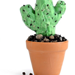 cactus-cupcakes-1620585.jpg