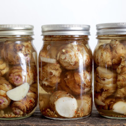 camelias-lacto-fermented-pickled-sunchokes-2467041.jpg