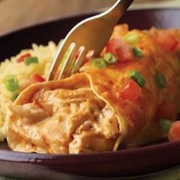 Campbell's® Easy Chicken and Cheese Enchiladas Recipe