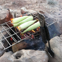 Camping - Grilled Corn